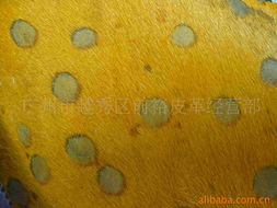 电子产品销售 - 马皮革产品列表 第21页